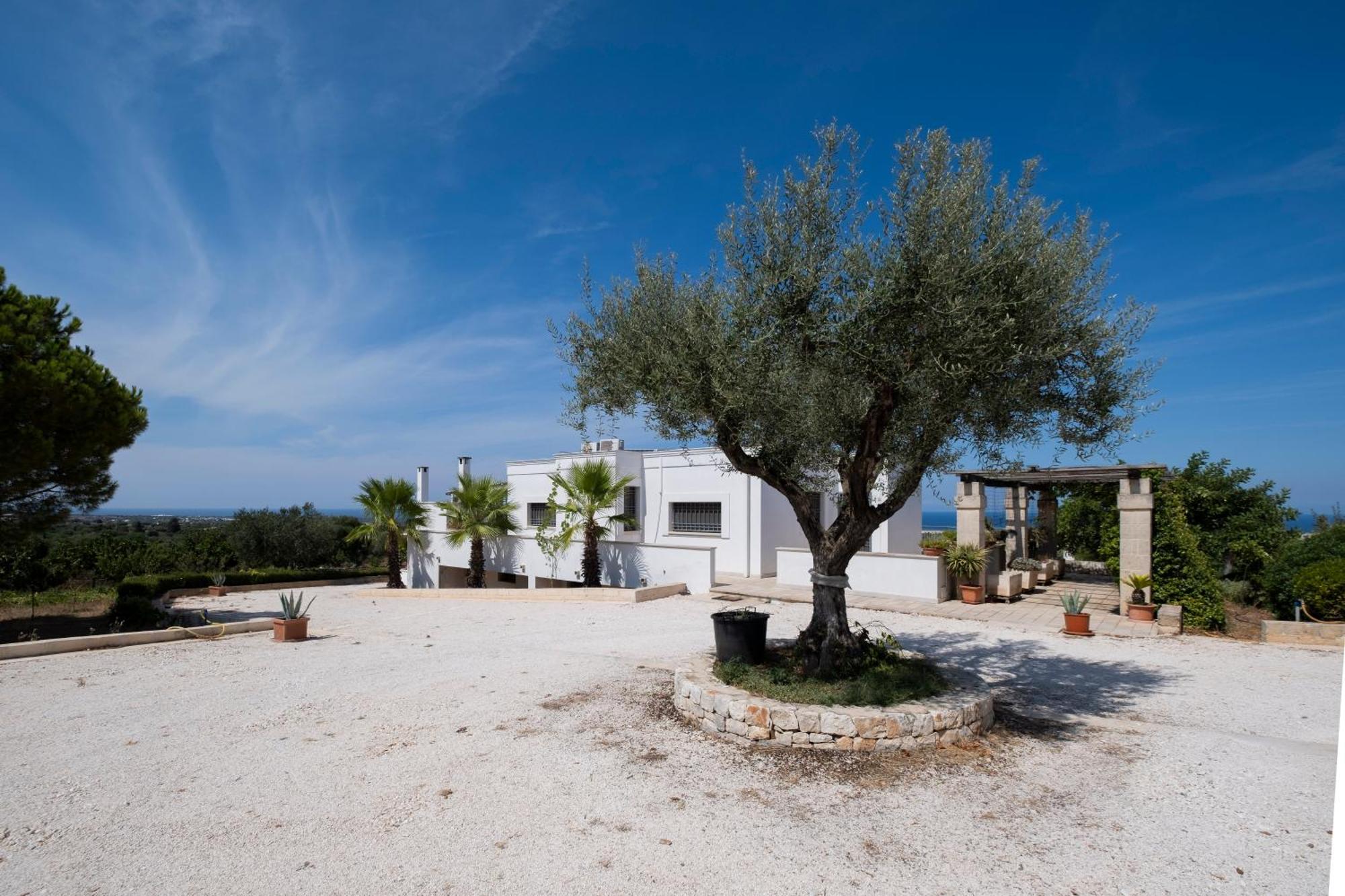 Villa Il Carrubo à Polignano a Mare Extérieur photo