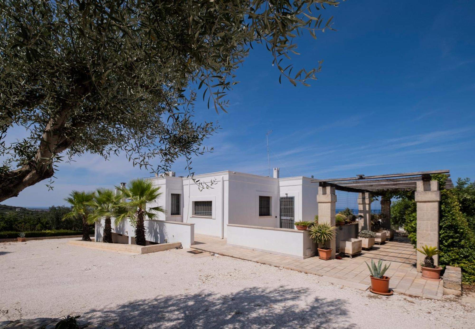 Villa Il Carrubo à Polignano a Mare Extérieur photo